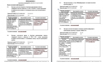 SAMPLE TEST REPORT